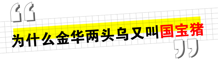 兩頭烏推文_畫板 1 副本 5.jpg