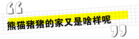 兩頭烏推文_畫板 1 副本 6.jpg